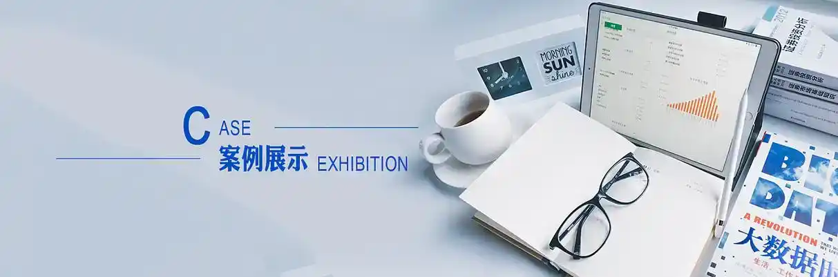 醴陵市软件开发